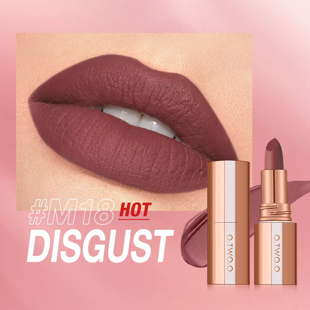 Matte Finish Waterproof Long Wear Silky Lipstick Hot Sale in US