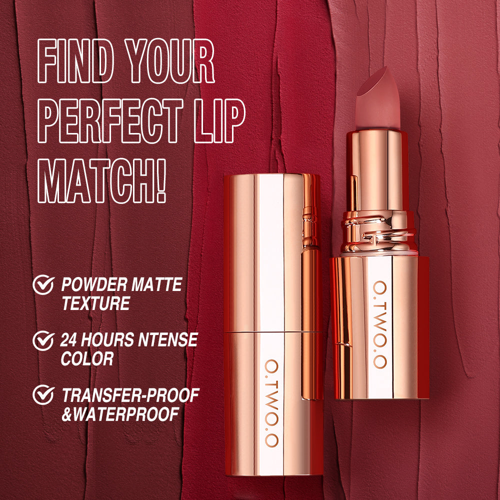 Matte Finish Waterproof Long Wear Silky Lipstick Hot Sale in US