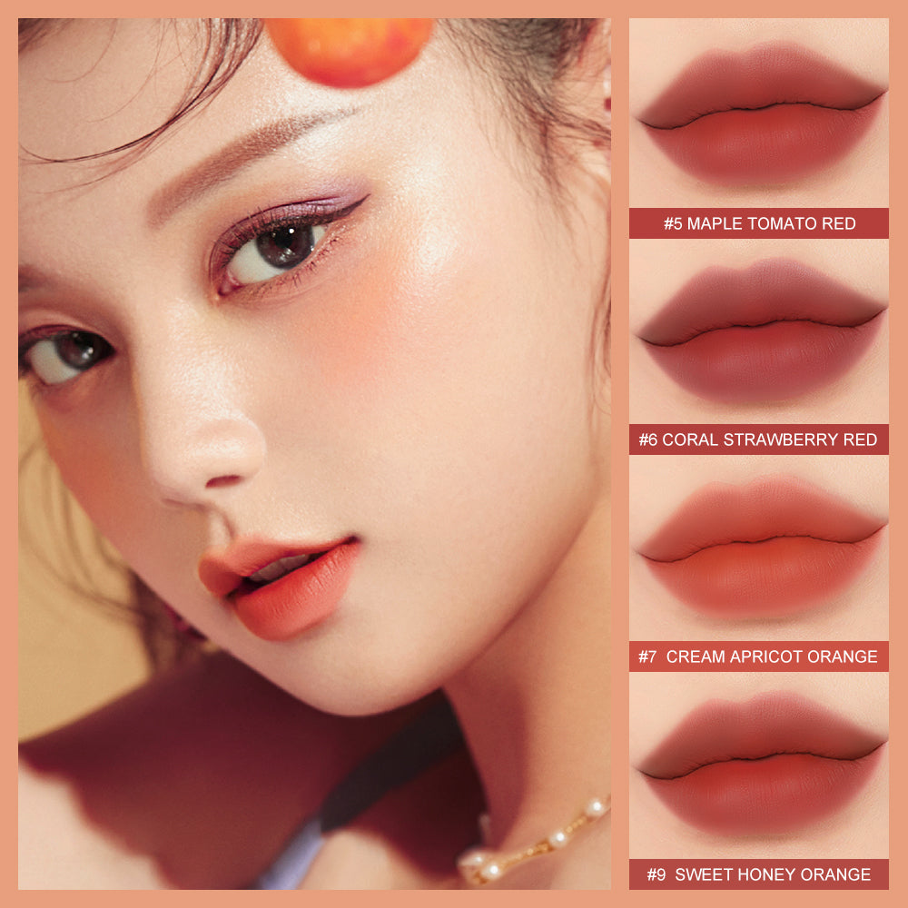 O.TWO.O New Arrival Velvet Matte Finish Rich 12 colors Lip Gloss