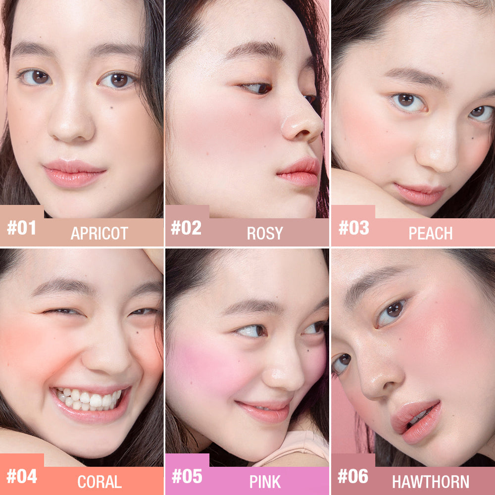 O.TWO.O High Pigment 6 Color Blush Pallete Powder