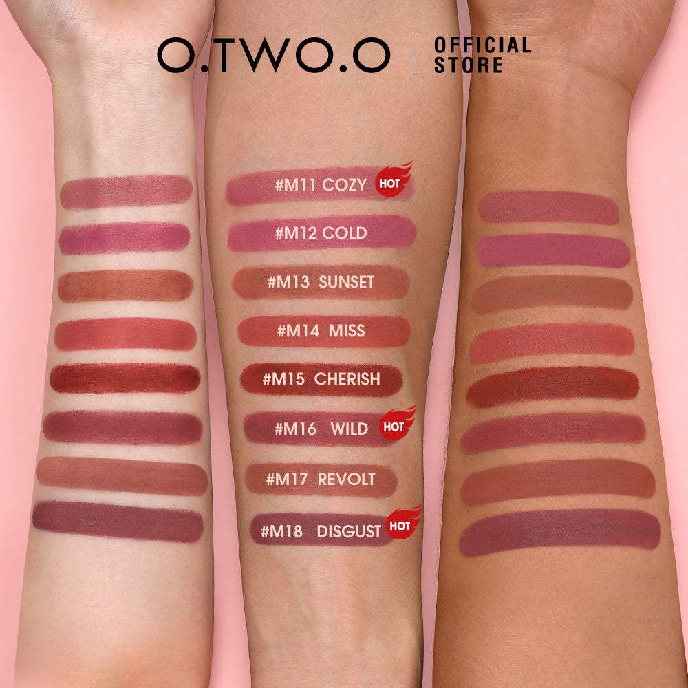 Matte Finish Waterproof Long Wear Silky Lipstick Hot Sale in US