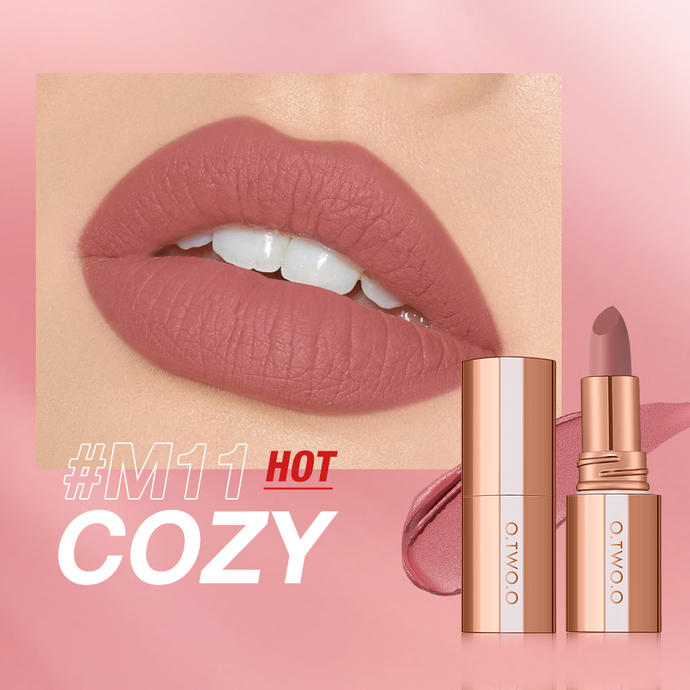 Matte Finish Waterproof Long Wear Silky Lipstick Hot Sale in US
