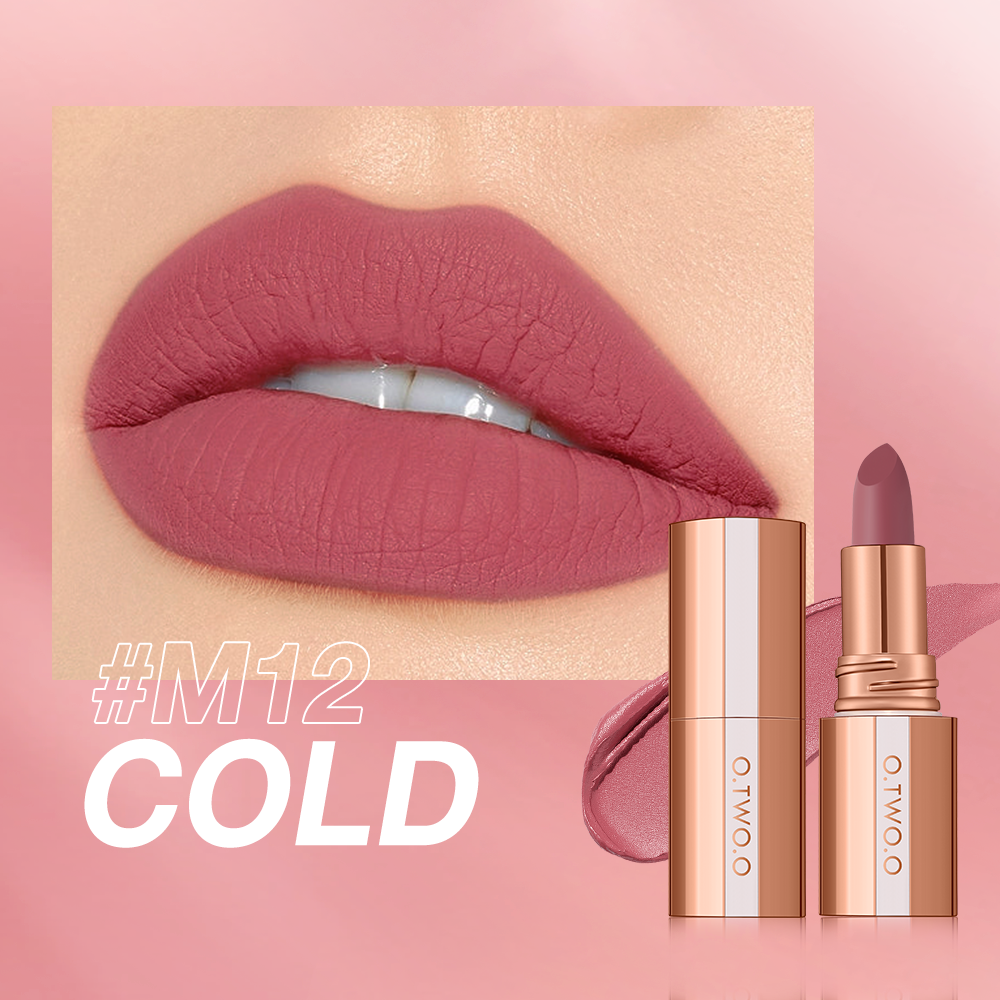 Matte Finish Waterproof Long Wear Silky Lipstick Hot Sale in US