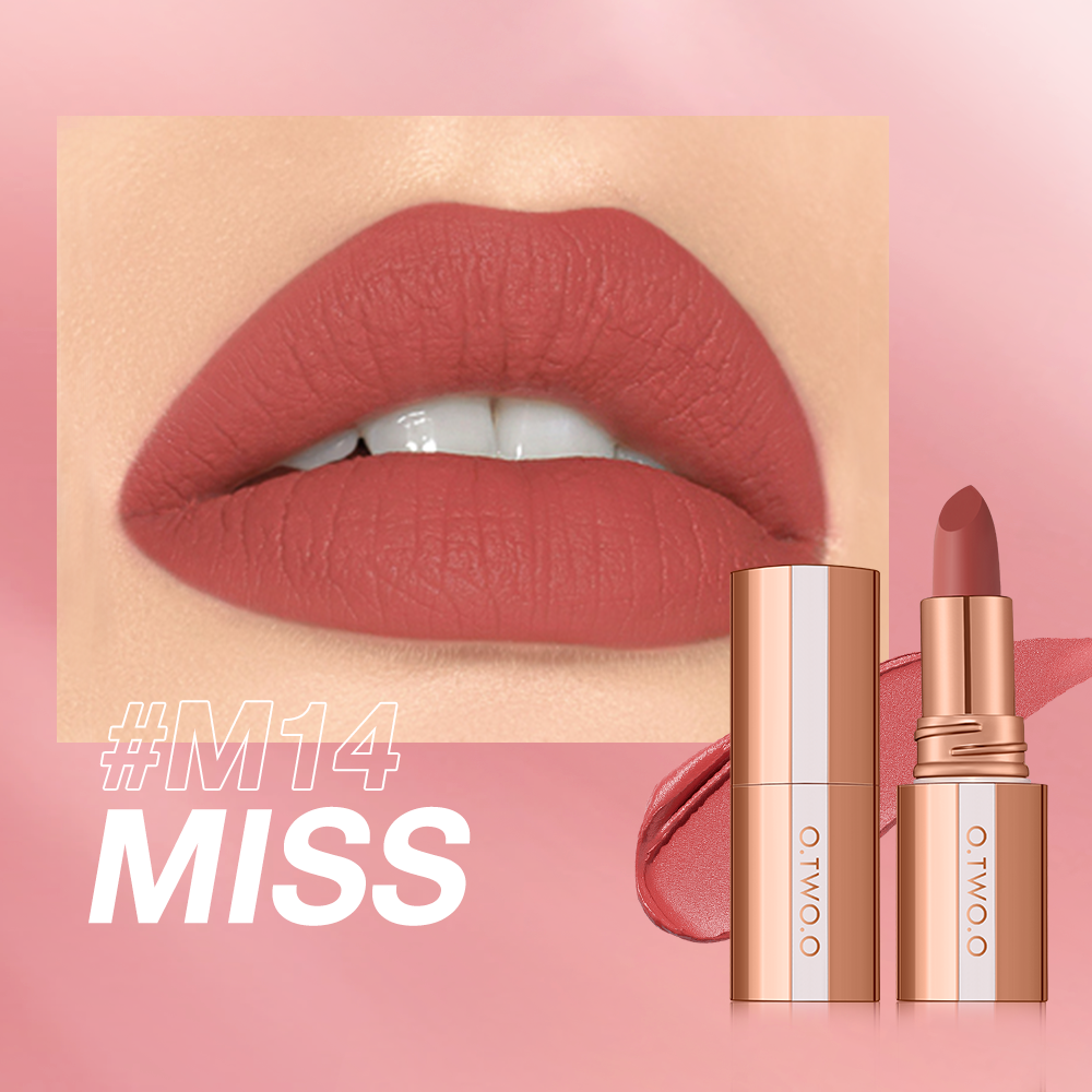 Matte Finish Waterproof Long Wear Silky Lipstick Hot Sale in US