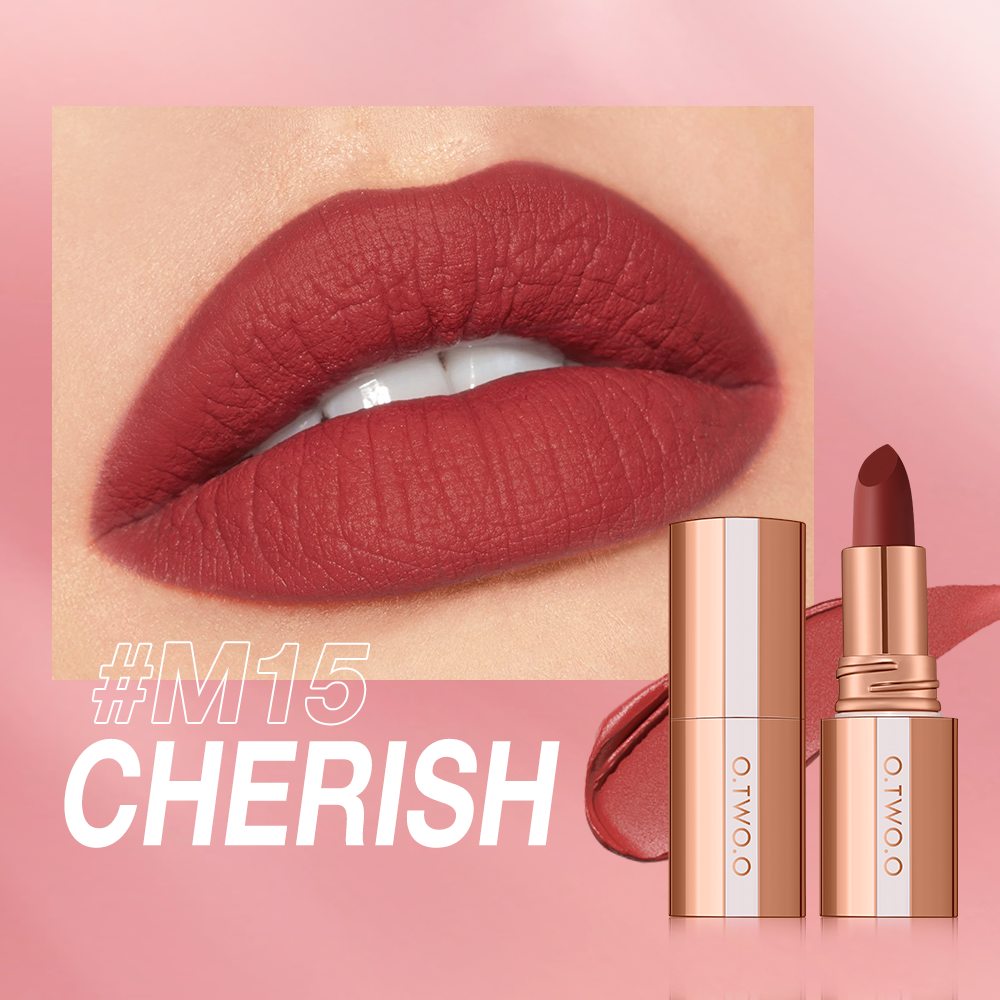 Matte Finish Waterproof Long Wear Silky Lipstick Hot Sale in US