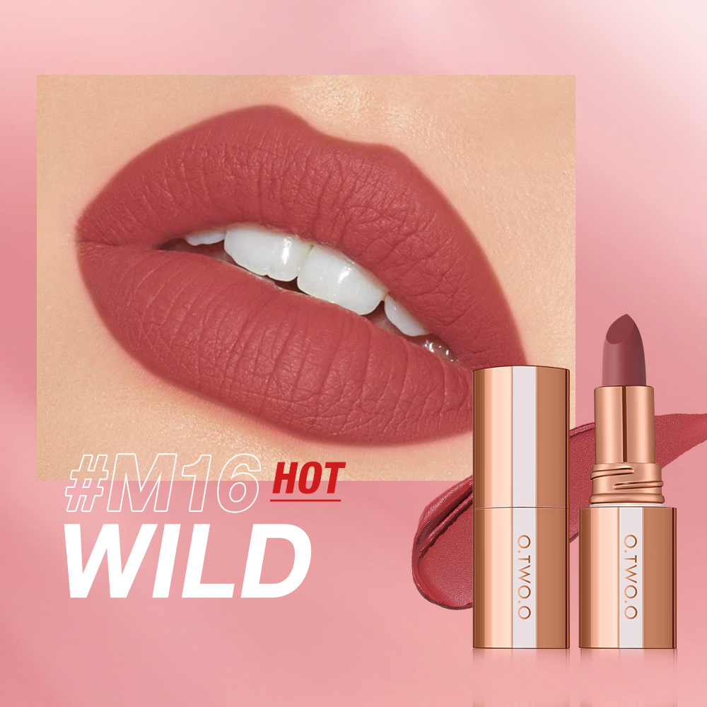 Matte Finish Waterproof Long Wear Silky Lipstick Hot Sale in US